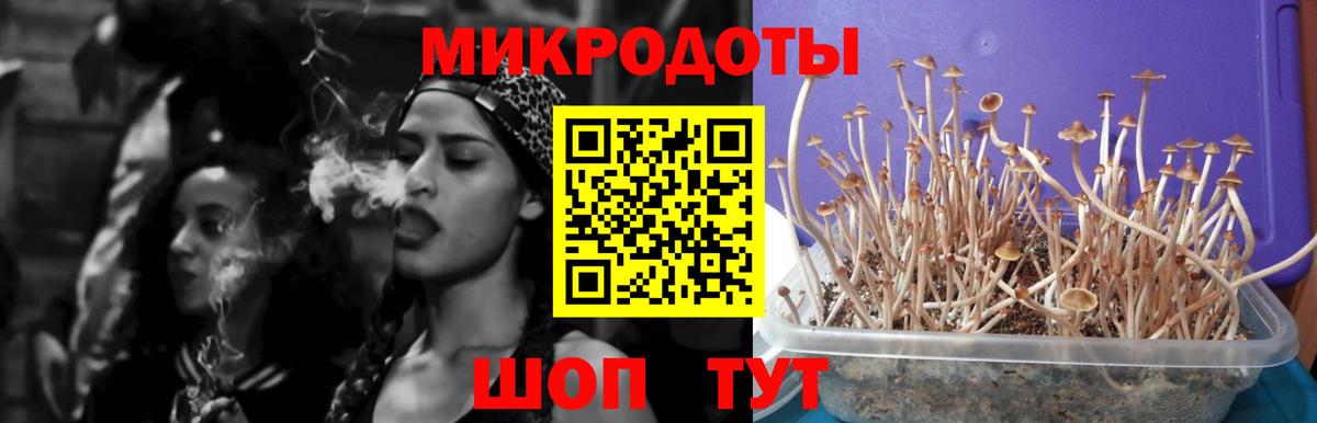 Галлюциногенные грибы GOLDEN TEACHER Мелеуз
